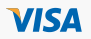 Visa Credit Card Payment