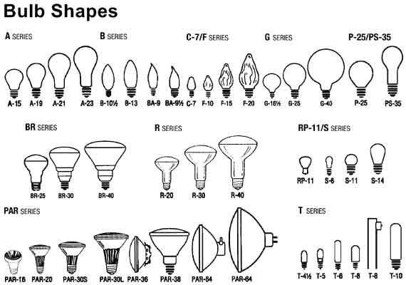 Bulb Shapes